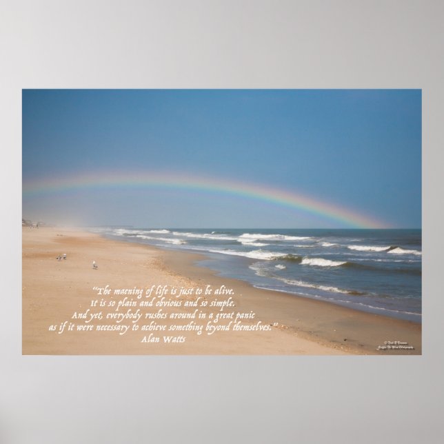 Strand, Regenbogen und die Bedeutung des Lebens Poster (Vorne)