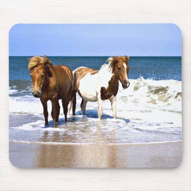 Strand-Schönheits-Pferdemausunterlage Mousepad (Vorne)