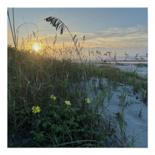 Strand Sonnenaufgang über Dünen Poster