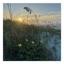 Strand Sonnenaufgang über Dünen Poster