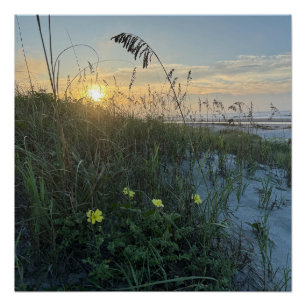 Strand Sonnenaufgang über Dünen Poster