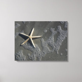 Strand Starfish Canvas Print Leinwanddruck