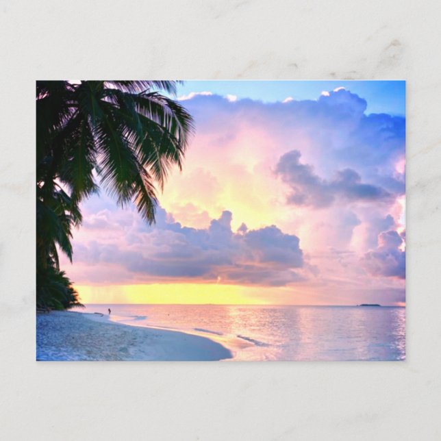Strand Sunset Meer Sandpalme Maldives Miami Postkarte (Vorderseite)