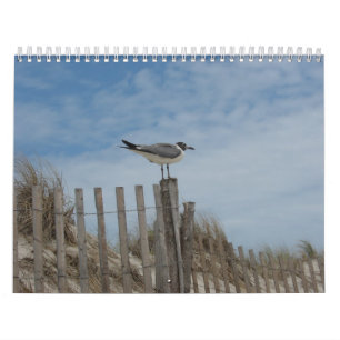 Strand-Szenen-19-monatiger Kalender 2011-2012