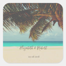 Strand tropisch, Palm