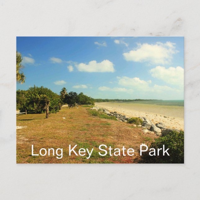 Strand und Boden, Long Key Staat Park, Florida Postkarte (Vorderseite)