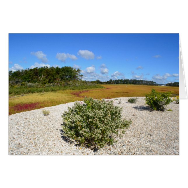 Strand und Marsh Notecard (Vorderseite (Horizontal))