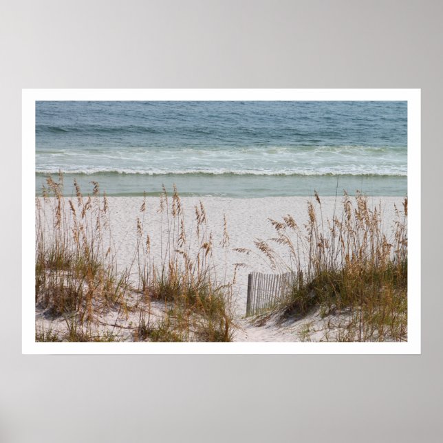 Strand und Ozean Poster (Vorne)