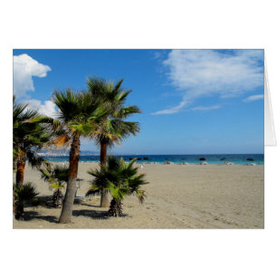Strand und Palmen in Puerto Banus