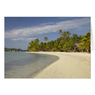 Strand und Palmen, Plantation Island Resort