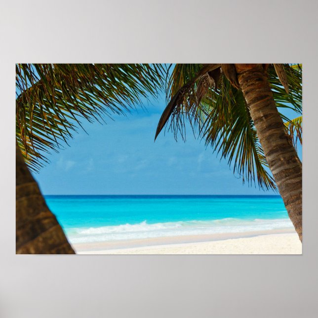 Strand und Palmen Poster (Vorne)