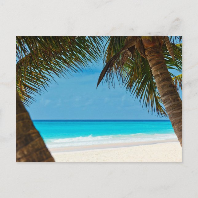 Strand und Palmen Postkarte (Vorderseite)