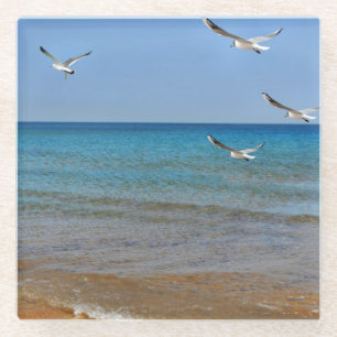Strand und Seagulls Glasuntersetzer