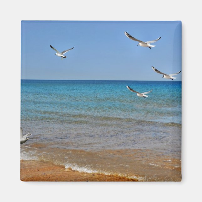 Strand und Seagulls Magnet (Vorne)