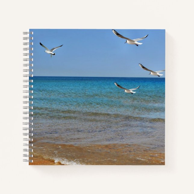 Strand und Seagulls Notizbuch (Vorderseite)