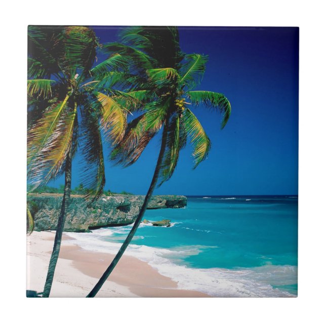 Strand-untere Bucht Barbados Fliese (Vorderseite)