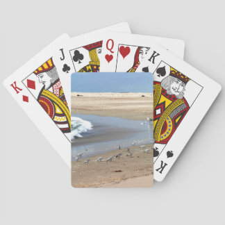 Strand-Vögel Spielkarten