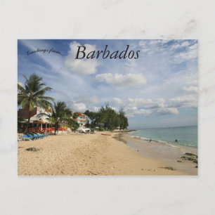 Strand von Barbados Postkarte