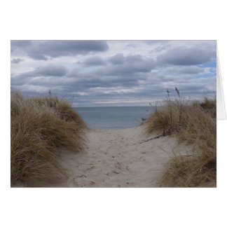 Strand von Deniseport