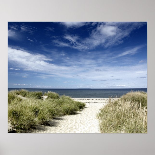 Strand, Welfleet MA Poster (Vorne)