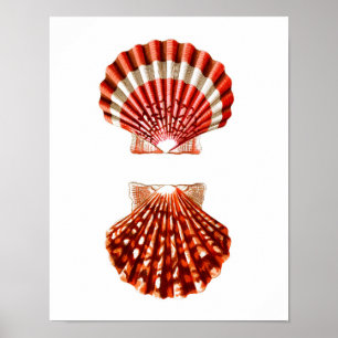Strand-Wohngestaltung des Poster