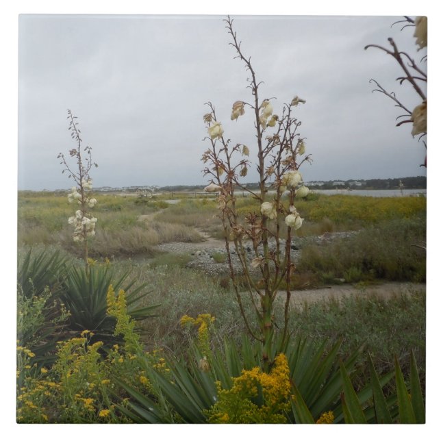 Strand-Wolken und Wildblumen - Eichen-Insel, NC Fliese (Vorderseite)