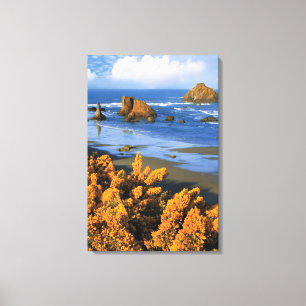 Strandblick Oregon in Bandon Leinwanddruck