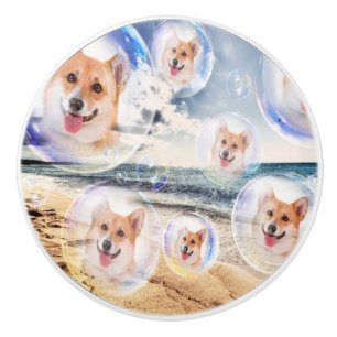 StrandCorgis Keramikknauf