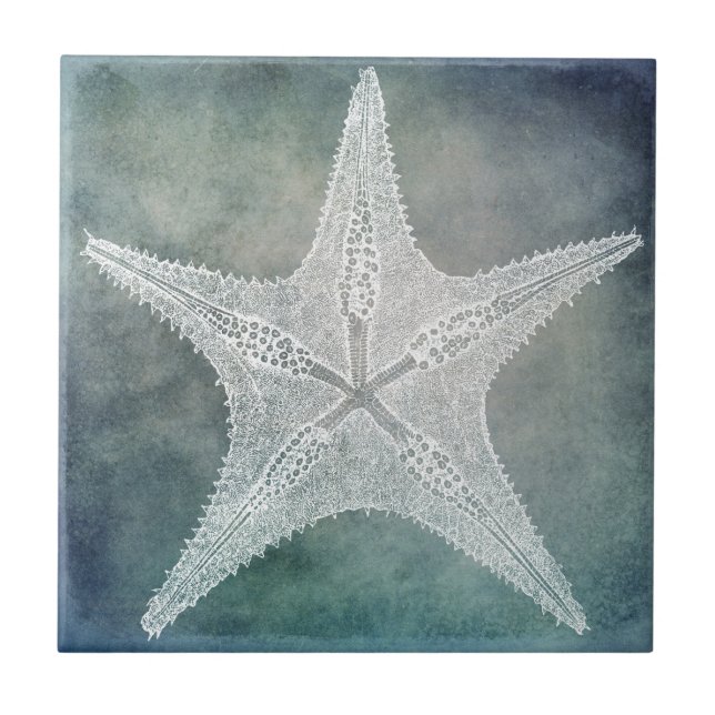 Stranddekor Indigos Aquamarines blaues Wasser Ster Fliese (Vorderseite)