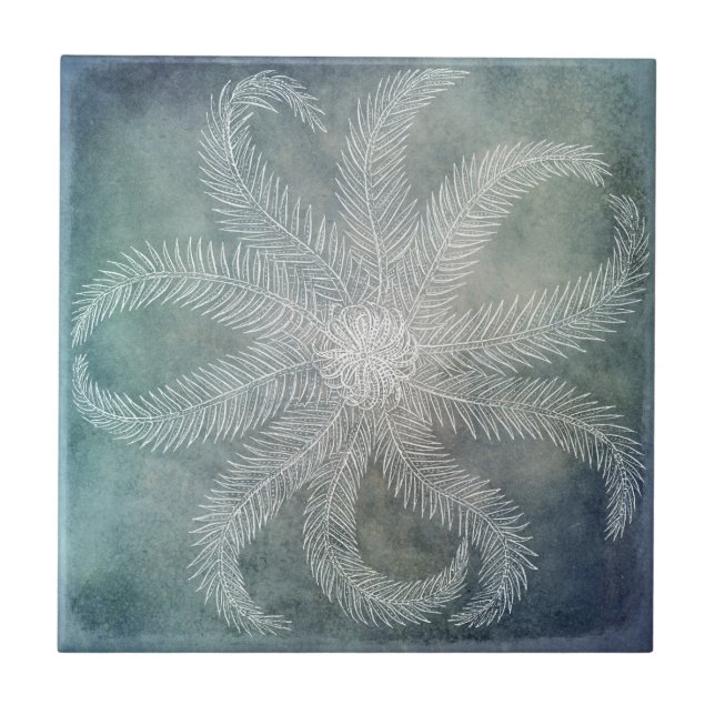 Stranddekor Sea Star Blue Watercolor Aquamarin Ind Fliese (Vorderseite)