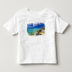 Strände, Barahona, Dominikanische Republik, 3 Kleinkind T-shirt