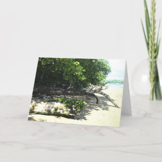 stranded 8x10 2 karte
