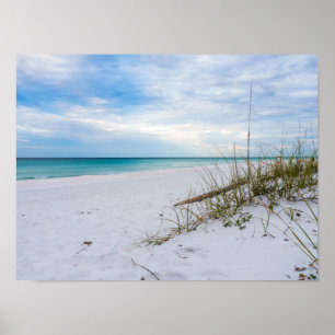 Strandhafer und weißer Sandstrand Morgen Poster