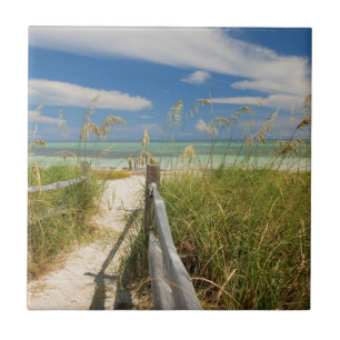 Strandhafer Uniola paniculata) wächst am Strand Fliese