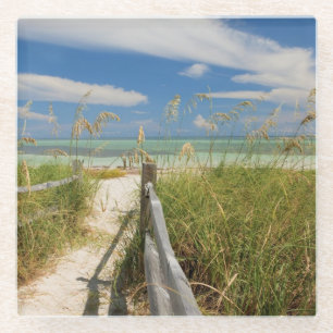 Strandhafer Uniola paniculata) wächst am Strand Glasuntersetzer
