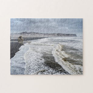 Strandlandschaft im Winter
