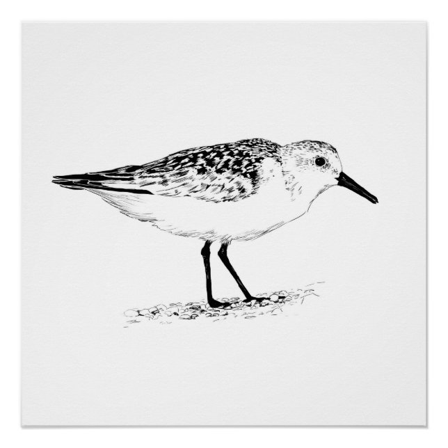 Strandläufer-Monochrom-Druck Poster (Vorderseite)