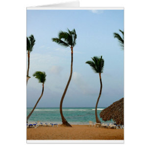 Strandpalme