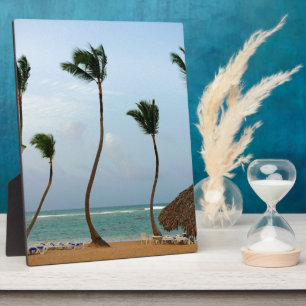 Strandpalme Fotoplatte