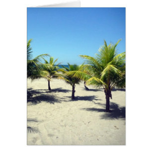 Strandpalmen