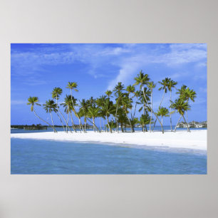 Strandparadies mit hammock_Maldives Plakat