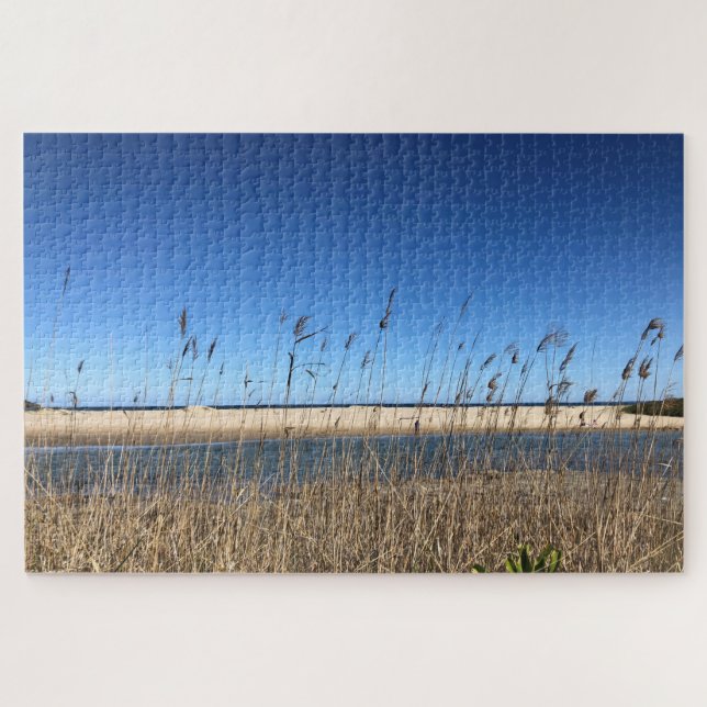 Strandrasen (Horizontal)