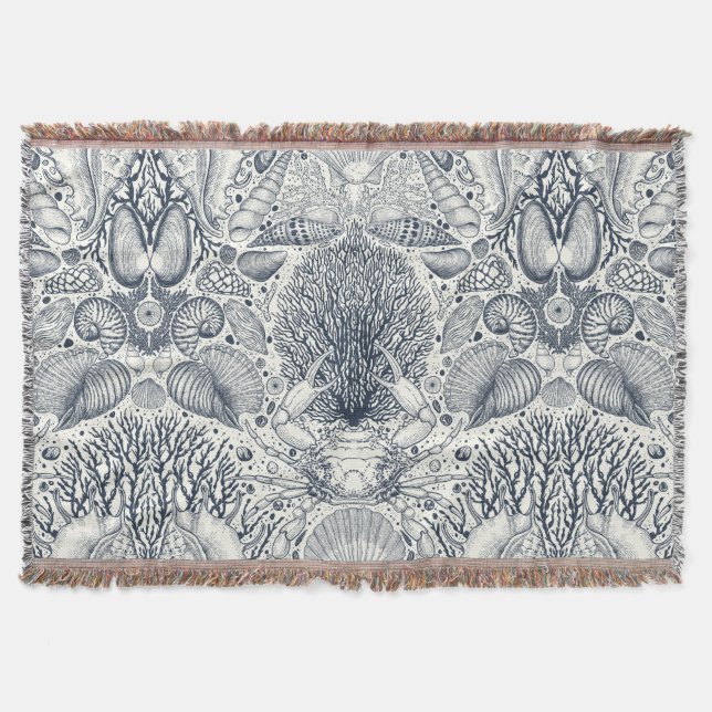 Strandschätze, Muscheln, Krabben, Korallen und Mee Decke (Vorderseite)