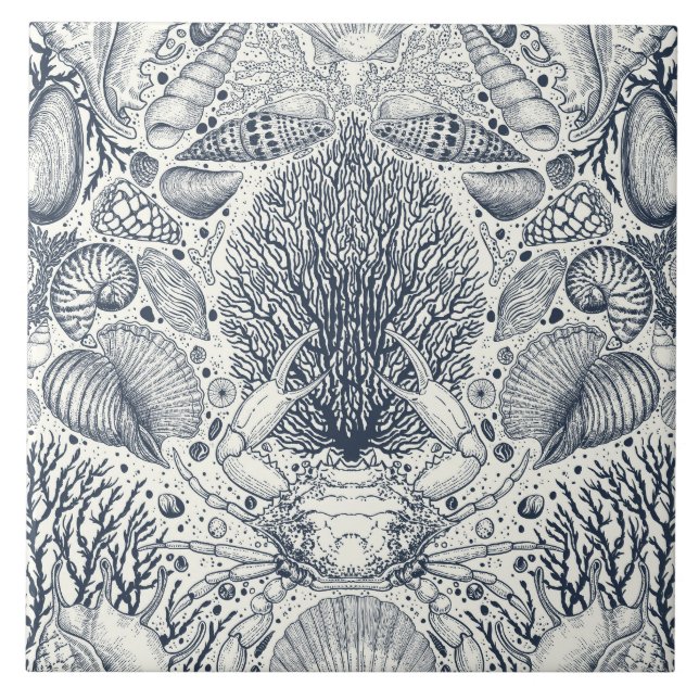 Strandschätze, Muscheln, Krabben, Korallen und Mee Fliese (Vorderseite)