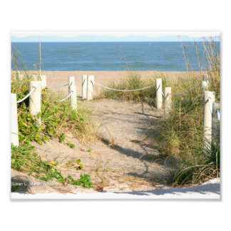 Strandspazierweg Düne abseilend von Florida Beach  Fotodruck
