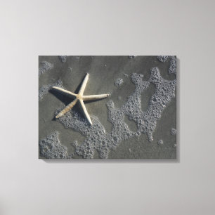 Strandstarfish-Leinwand-Druck Leinwanddruck
