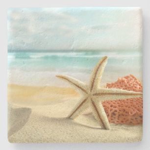 Strandstarfish-Stein-Untersetzer Steinuntersetzer
