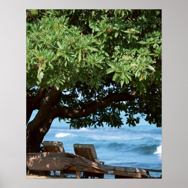Strandstuhl 2 poster (Vorne)