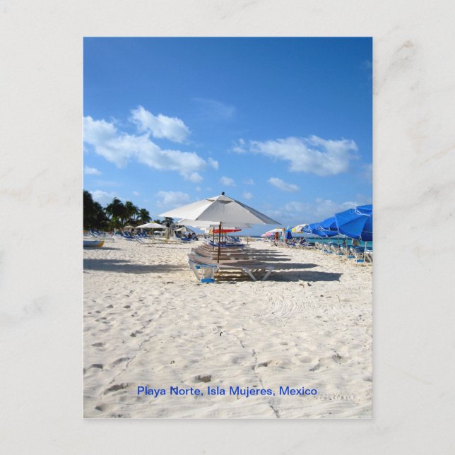 Strandstühle auf der Isla Mujeres Postkarte (Vorderseite)