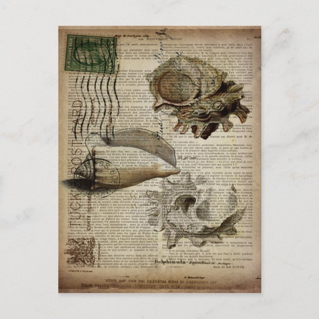 Strandwörterbuch drucken moderne Vintage Muschel Postkarte (Vorderseite)